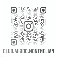 aikido club montmelian instagrame (1)